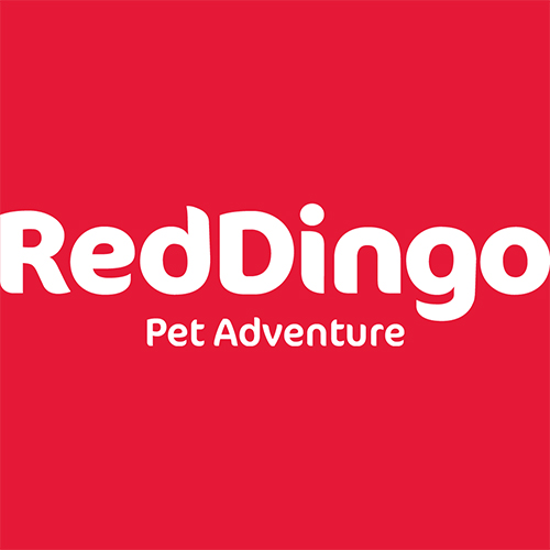 Red Dingo Red Dingo